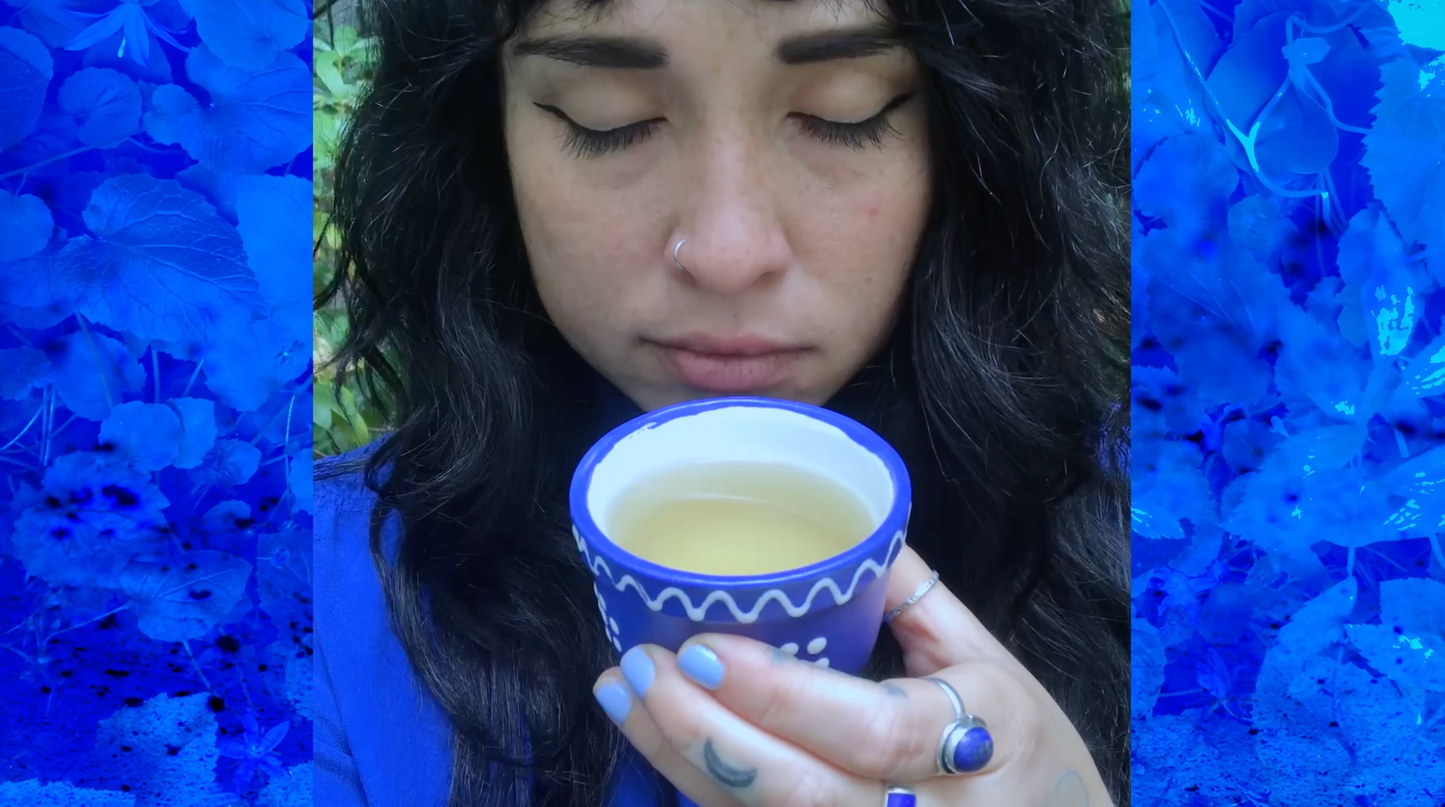 🌞 Paige Emery: Lemon Balm Ritual for the Summer Solstice